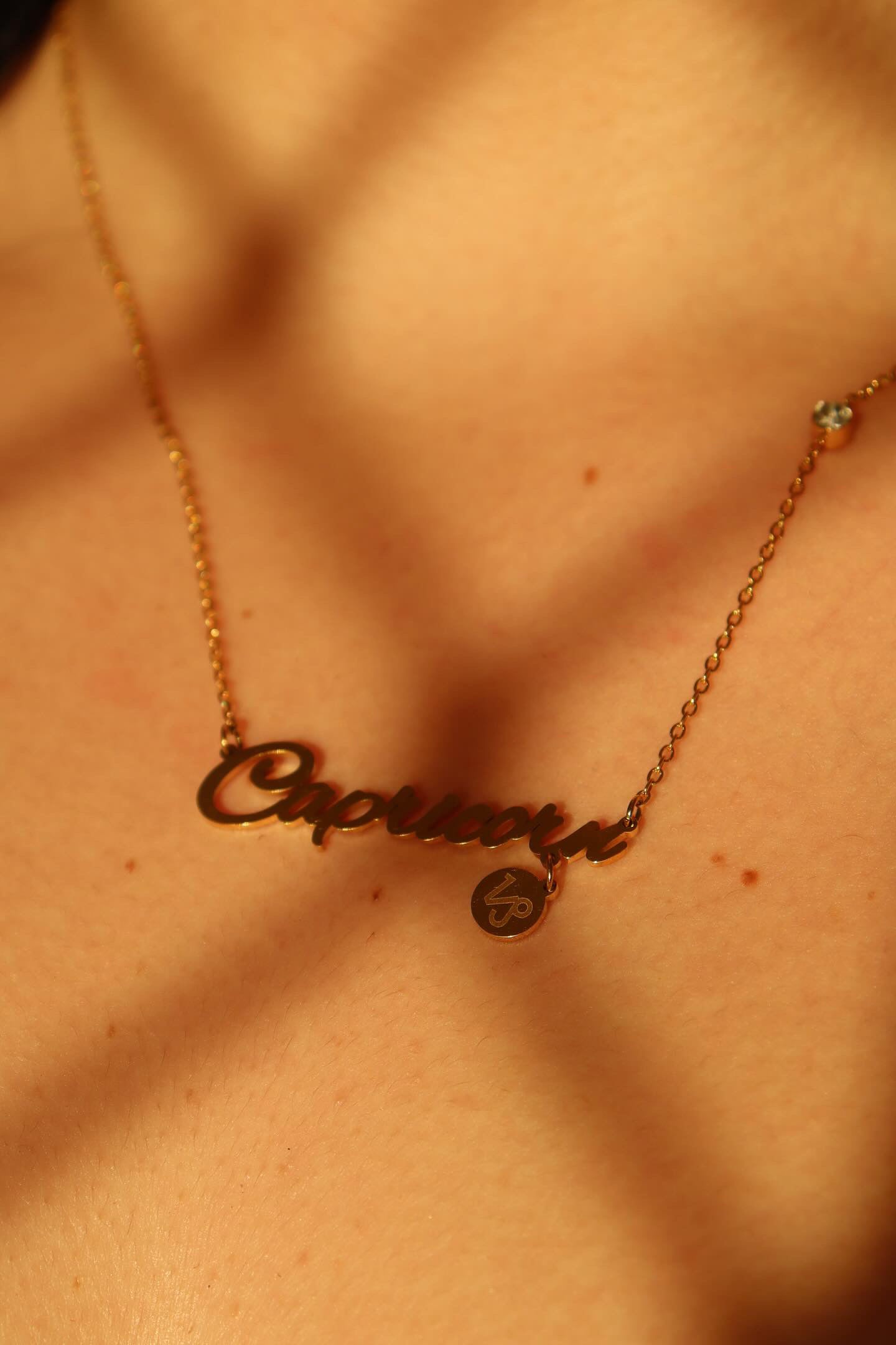 Capricorn zodiac necklace