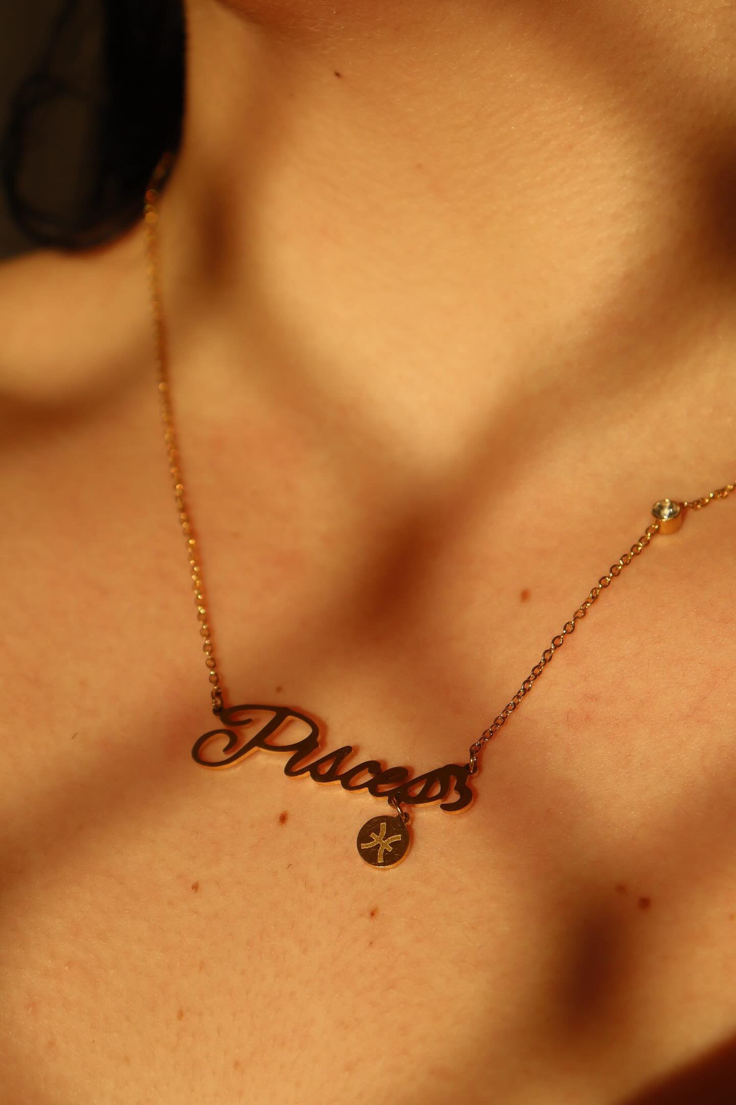 Pisces zodiac necklace